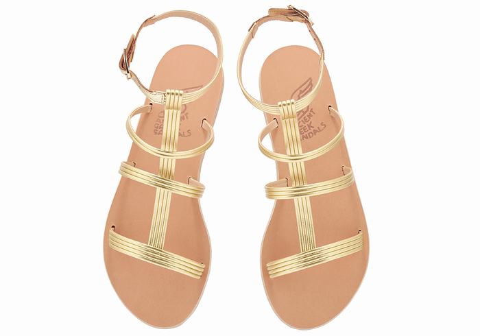 Sandales Bride Cheville Ancient Greek Sandals Frigia   | RKD-2283662